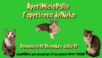 Sabato 2 Dicembre al Neko: aperiCENETTA con i mici e con la riflessologa dei gatti Francesca Masini