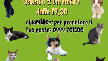 Sabato 2 Dicembre al Neko: aperiCENETTA vegetariano con i mici e con la riflessologa dei gatti Francesca Masini